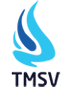 TMSV Edutech Pvt Ltd